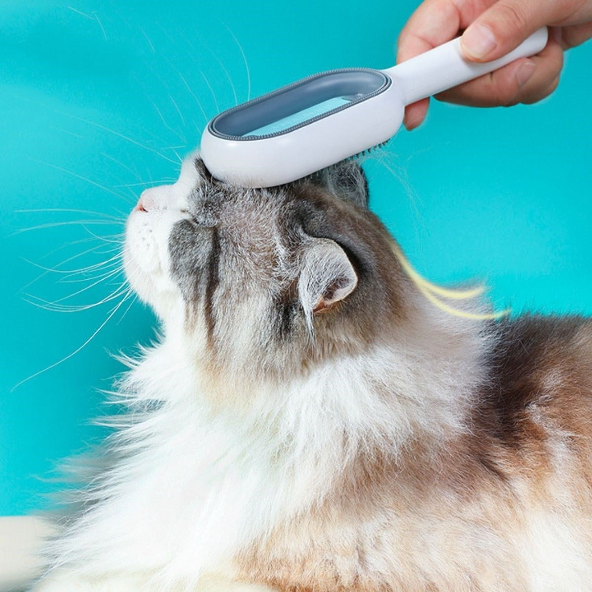 miorashop® Evcil Hayvanlar İçin Çift Taraflı Pet Fırçası Nemli Tüy Tarama Tarağı