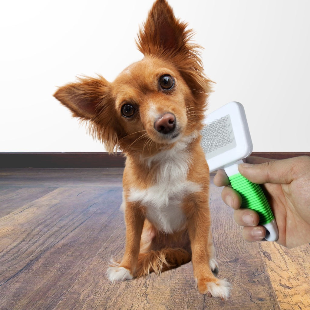 miorashop® Kedi Köpek Telli Küçük Boy Tüy Bakım Seti Evcil Hayvan Tarama Fırçası