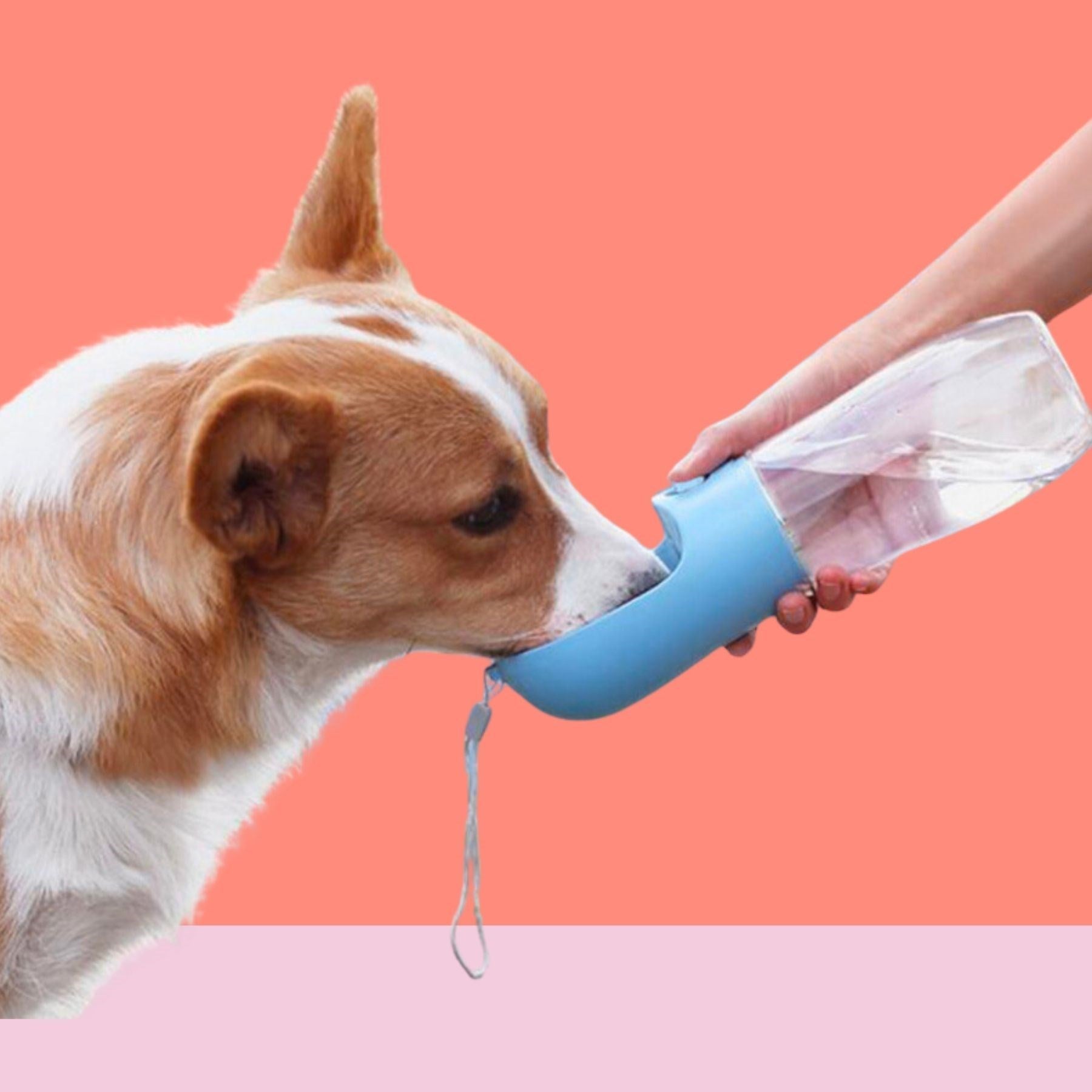 miorashop® 450 ml Taşınabilir Butonlu Evcil Hayvan Suluğu