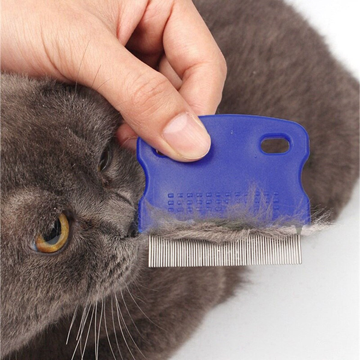 miorashop® Evcil Hayvan Kedi Köpek Pire Tarağı ve Köpek Gözyaşı Lekesi Tarağı