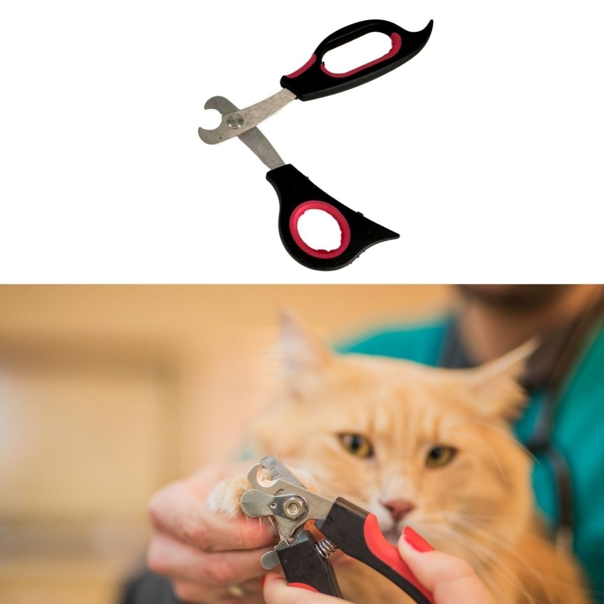 miorashopBüyük Irk Köpek Kedi Çelik Uçlu Evcil Hayvan Tırnak Makası Pati Bakım Aleti Ergonomik Kaymaz
