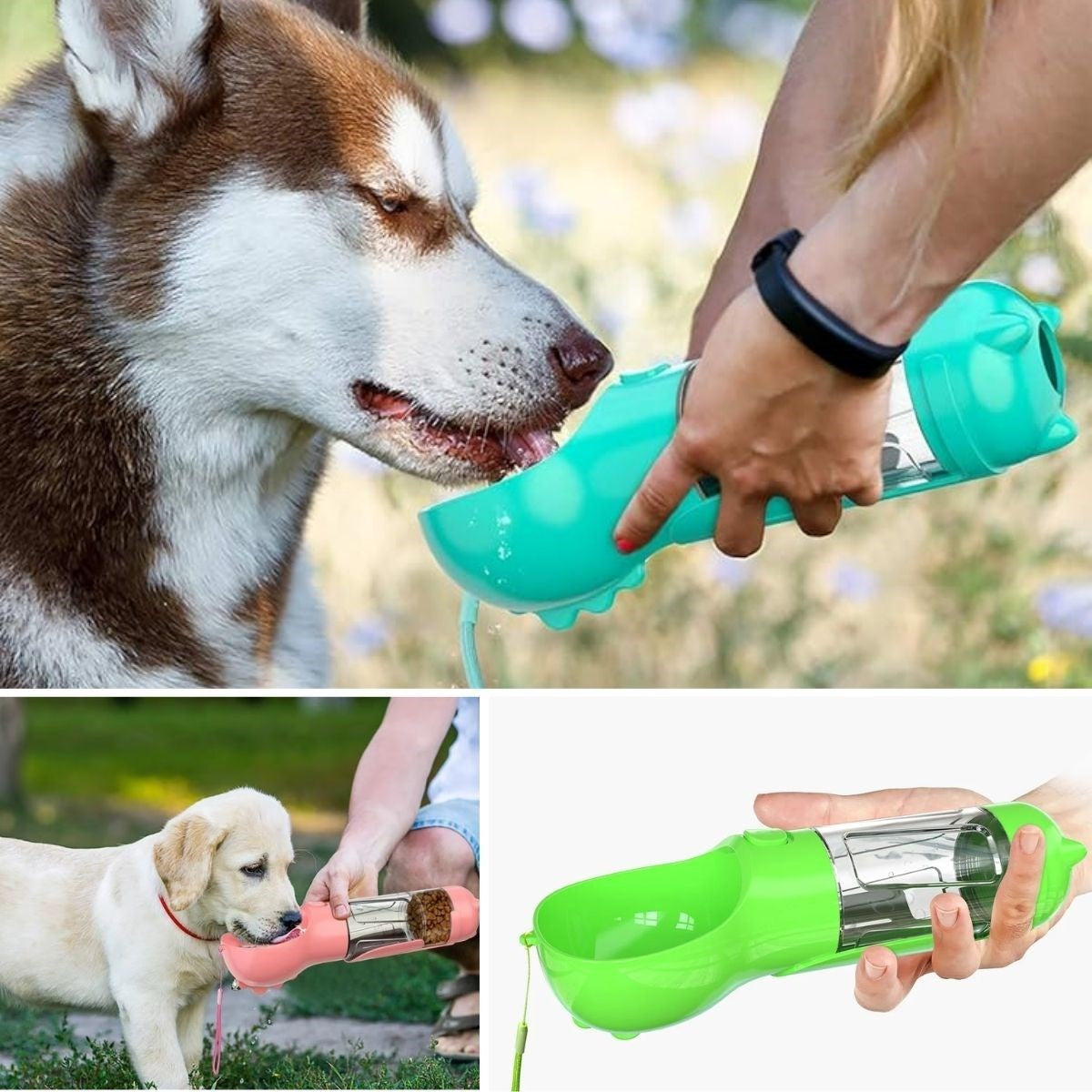 miorashop® Taşınabilir Hazneli Mama Kaplı ,Kaka Poşetli Kedi,Köpek Suluğu-300ml