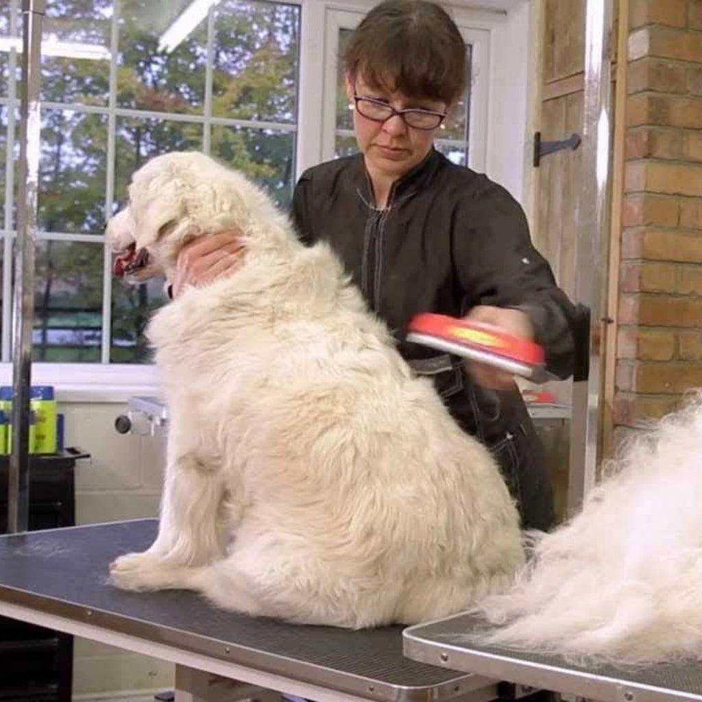 miorashop® 23 KG Üzeri Uzun Tüylü Köpekler İçin Tüy Toplayıcı Ergonomik Tarak