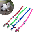 miorashop® Çıngıraklı Zilli Sevimli Renkli Slikon Kedi Köpek Boyun Tasması