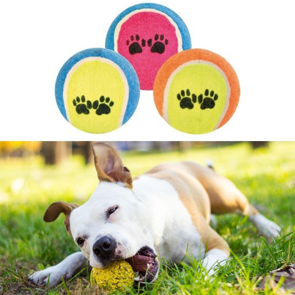 miorashop®  3lü Renkli Desenli Tenis Topu Kedi Köpek Oyuncağı