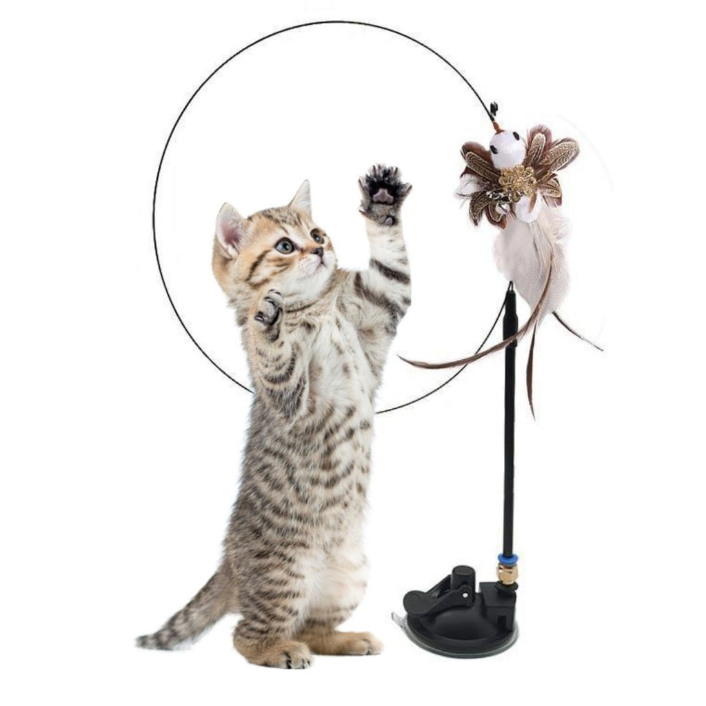 miorashop® Vantuzlu Tüylü Zilli Olta Kedi Oyuncağı 2 Oltalı