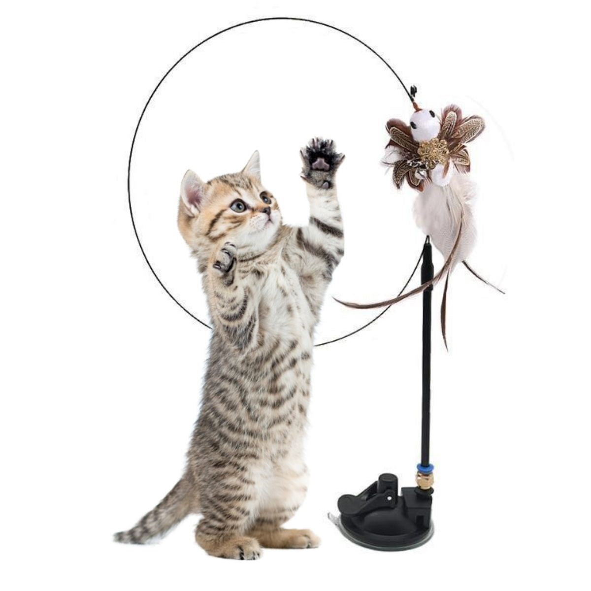 miorashop® Vantuzlu Tüylü Zilli Olta Kedi Oyuncağı 2 Oltalı