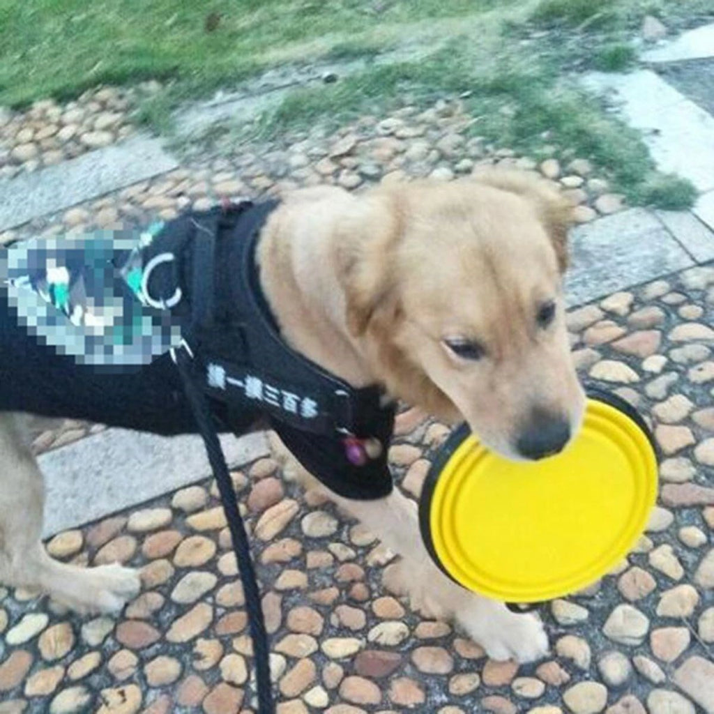 miorashop® Katlanabilir Kedi Köpek Mama ve Su Kabı Köpek Oyuncağı