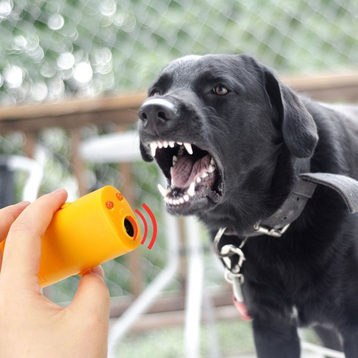 miorashop® Ultrasonik Köpeksavar Köpek Kovucu Köpek Kornası Eğitim Cihazı