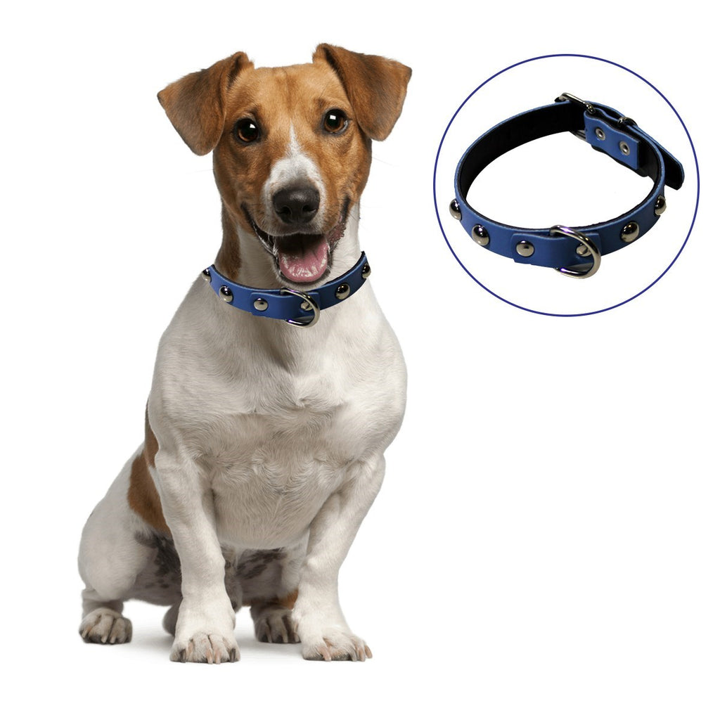 miorashop® Yumuşak Dokulu Deri Köpek Gezdirme Boyun Tasması (Large)