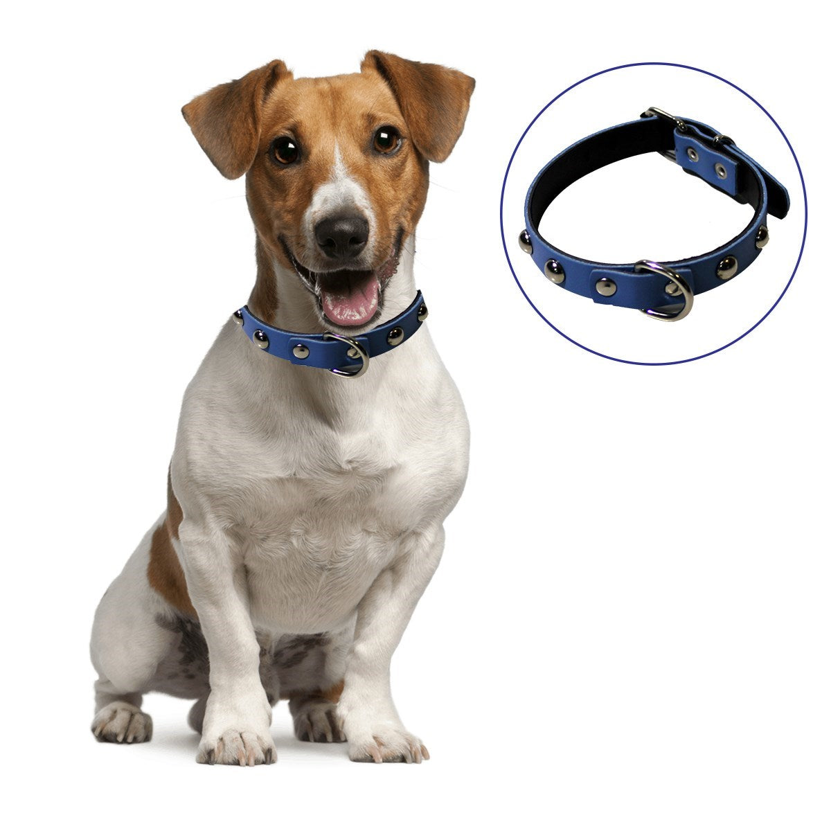 miorashop® Yumuşak Dokulu Deri Köpek Gezdirme Boyun Tasması (Large)