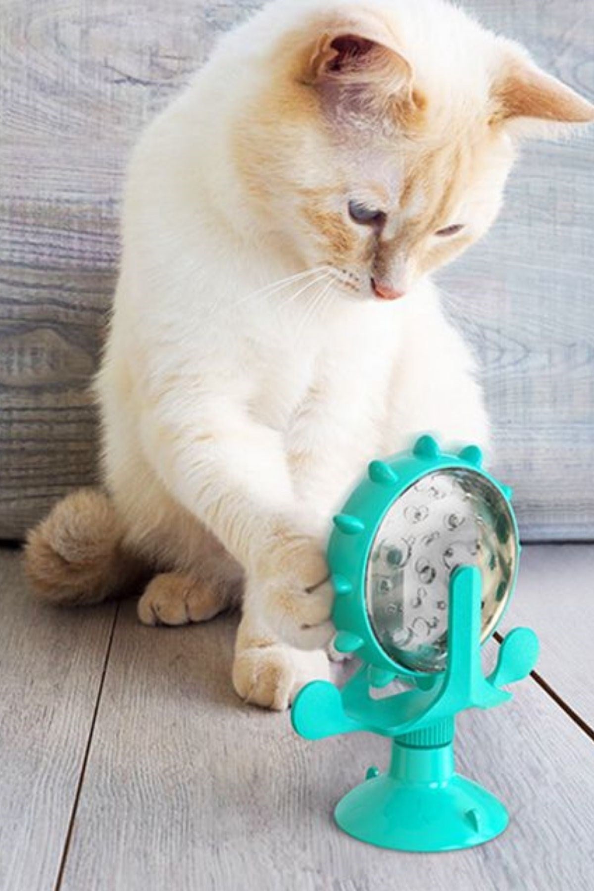 miorashop® Vantuzlu Zilli İnteraktif Dönebilen Mama Kaplı Renkli Eğlenceli Eğitici Kedi Oyuncağı