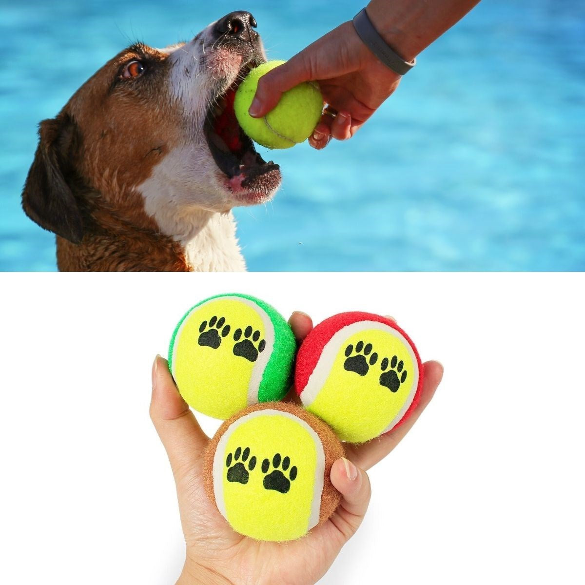 miorashop®  3lü Renkli Desenli Tenis Topu Kedi Köpek Oyuncağı
