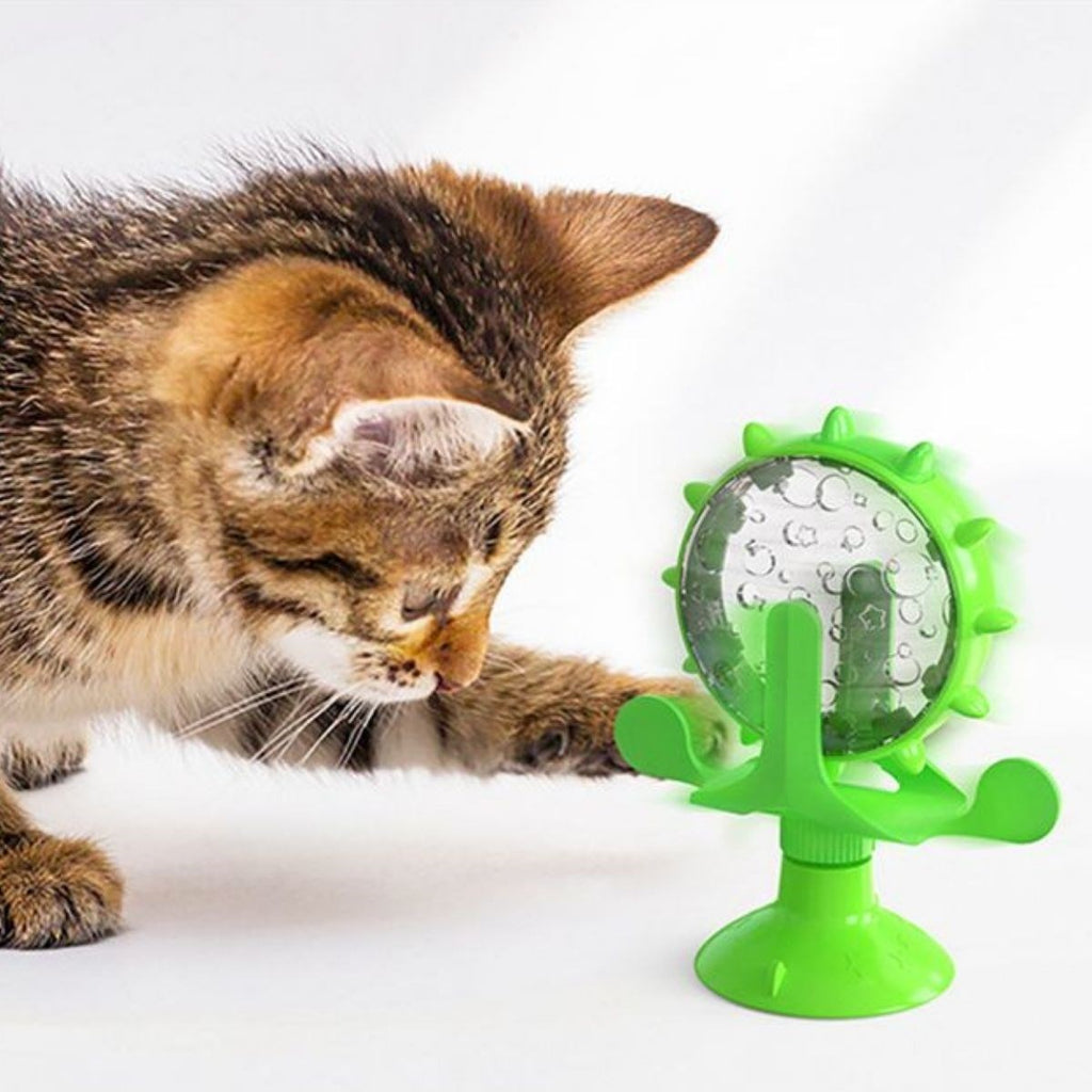 miorashop® Vantuzlu Zilli İnteraktif Dönebilen Mama Kaplı Renkli Eğlenceli Eğitici Kedi Oyuncağı