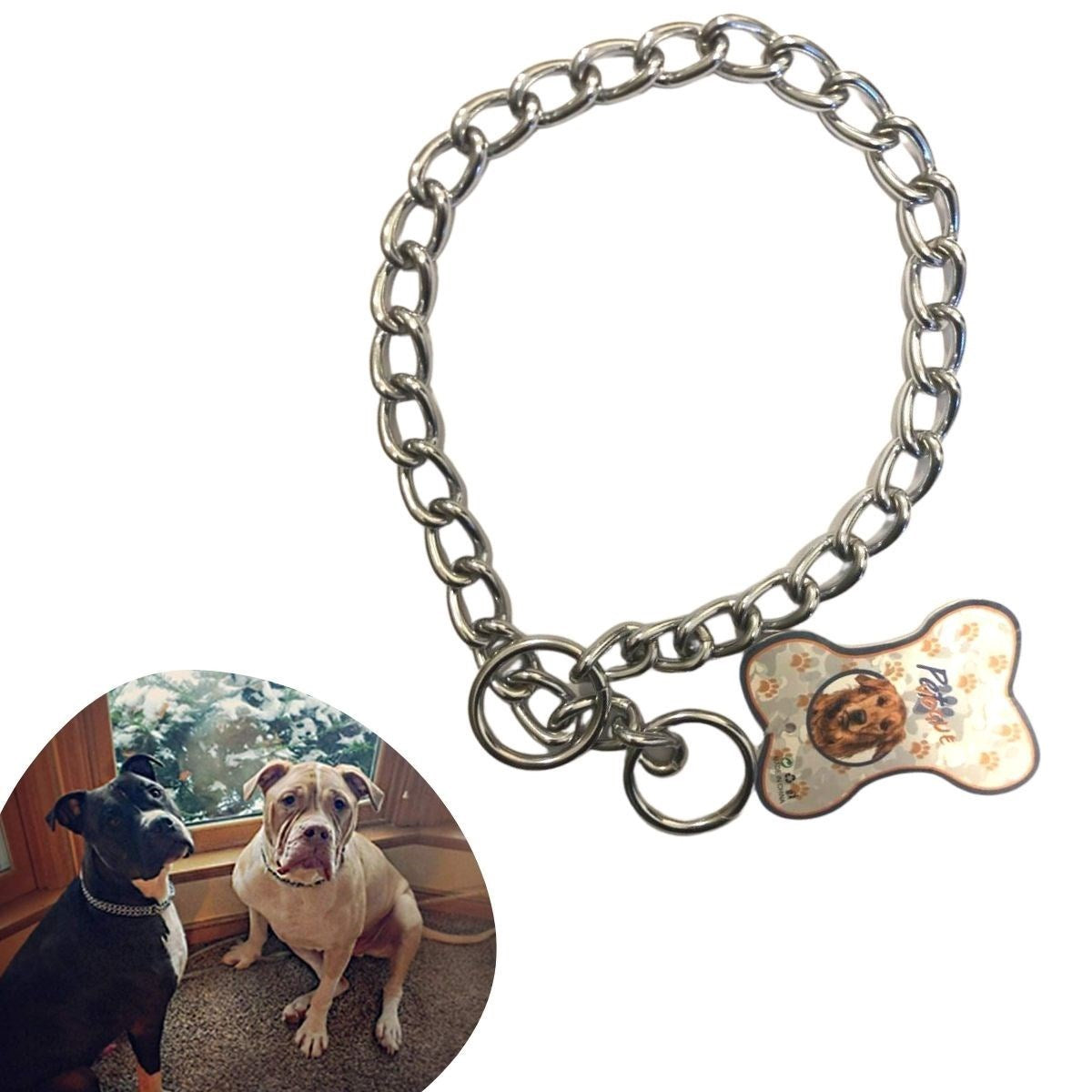 miorashop® 65 cm Uzunlukta Zincir Model Köpek İçin Boyun Tasması