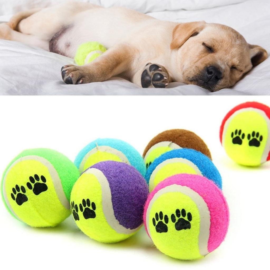 miorashop®  3lü Renkli Desenli Tenis Topu Kedi Köpek Oyuncağı