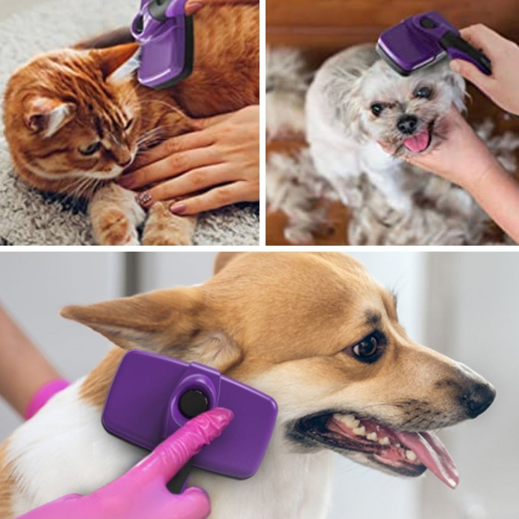 miorashop®  Otomatik Temizlenebilen Tuşlu Pratik Kedi Köpek Tüy Toplama Fırçası
