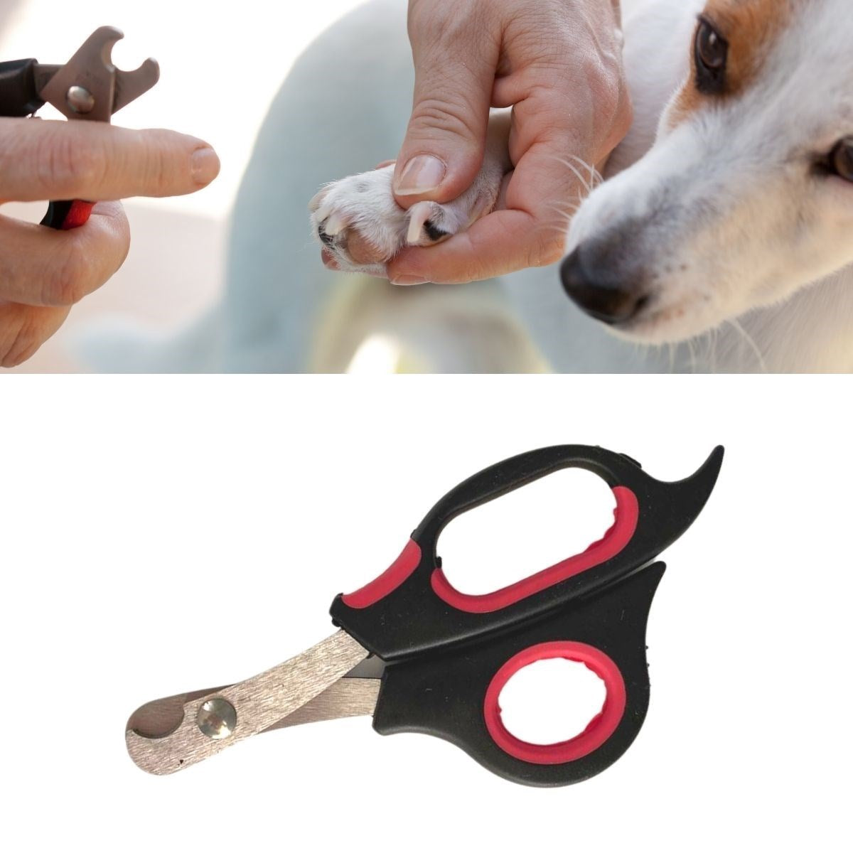 miorashopBüyük Irk Köpek Kedi Çelik Uçlu Evcil Hayvan Tırnak Makası Pati Bakım Aleti Ergonomik Kaymaz