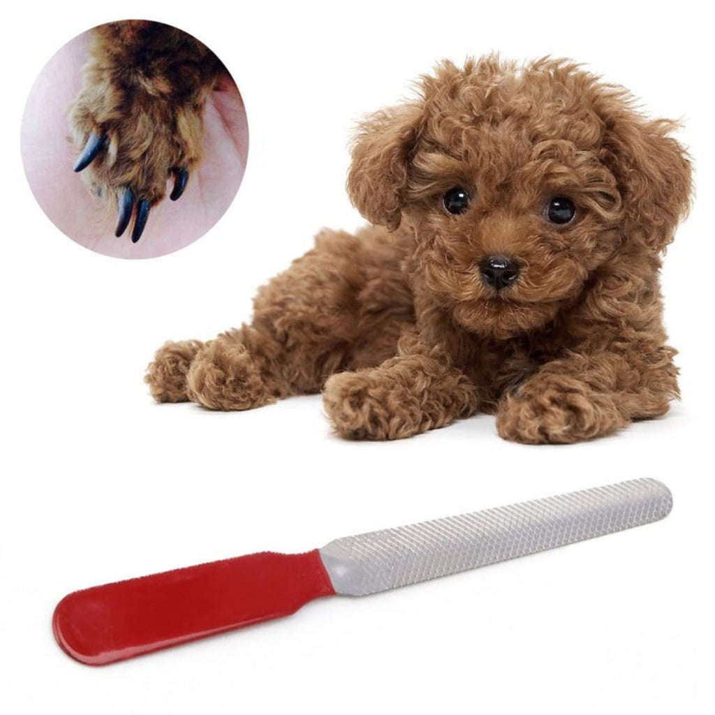 miorashop® Evcil Hayvan Tırnak Makası Ve Törpü Seti Manikür Pedikür Pati Bakım Aleti Kaymaz Sap