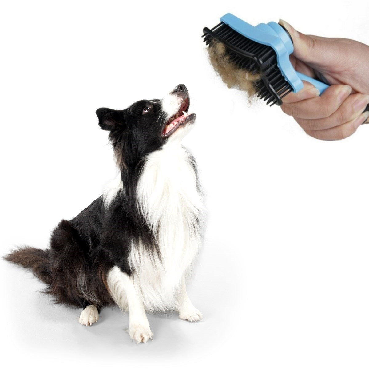 miorashop® Evcil Hayvan Kedi Köpek Tüy Toplayıcı Otomatik Tuşlu Pet Tarak