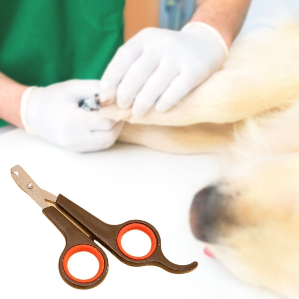 miorashop Küçük Çelik Uçlu Kedi Köpek Evcil Hayvan Tırnak Makası Pati Bakım Aleti Ergonomik Kaymaz Sap