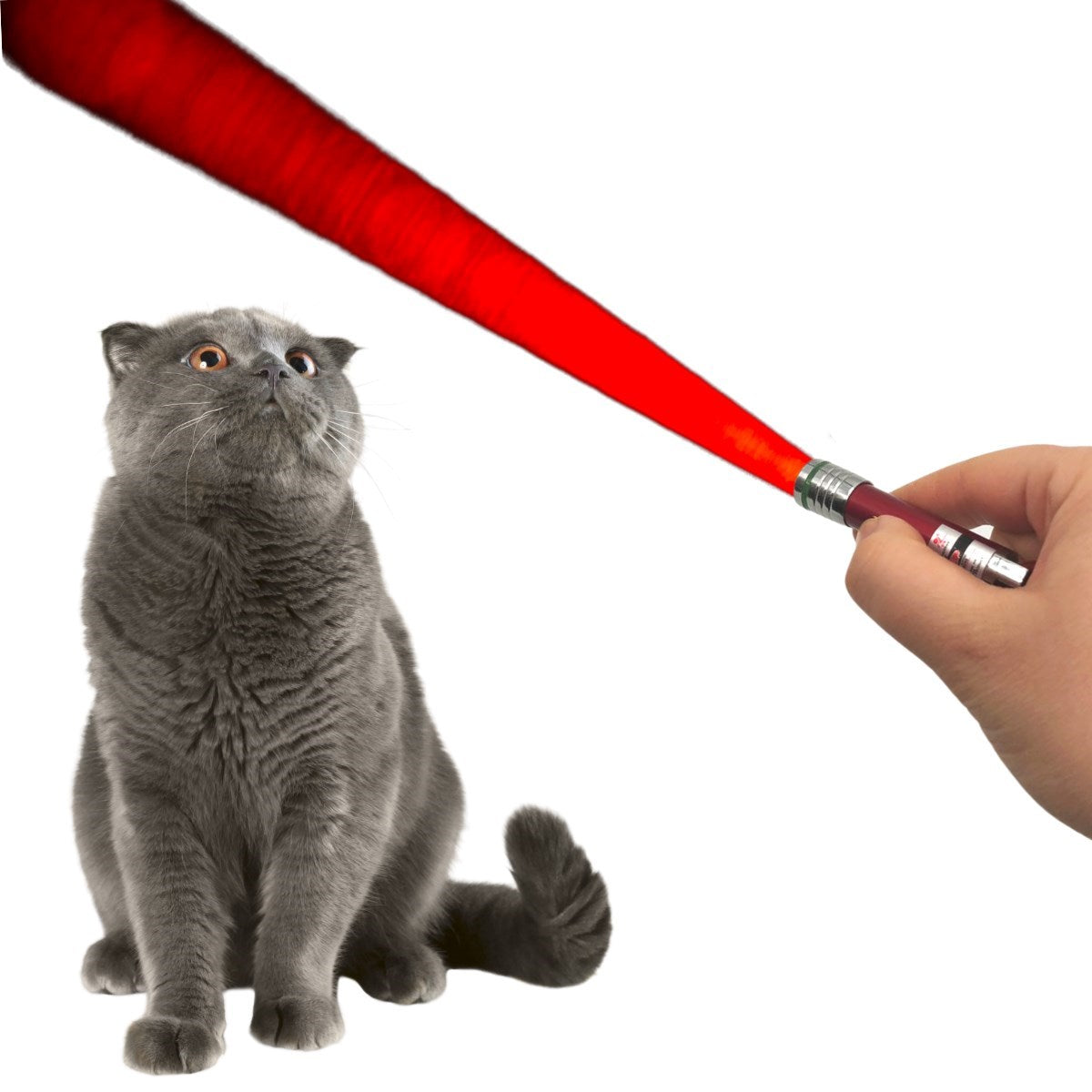 miorashop®  3 Fonksiyonlu Kırmızı Beyaz Işıklı Led Lazer Kedi Köpek Oyuncak Anahtarlık