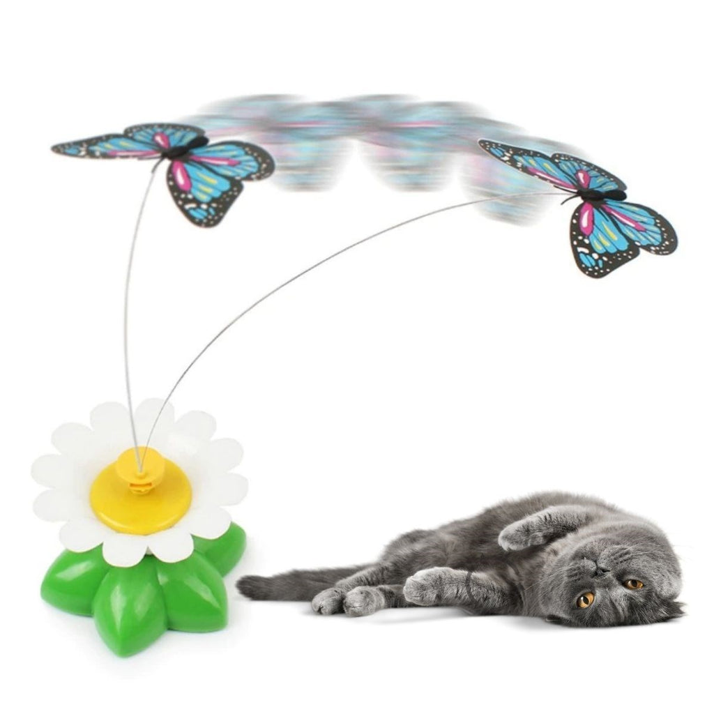 miorashop® Hareketli Dönen Kelebek - Kedi Oyuncağı ( Pille Çalışır)