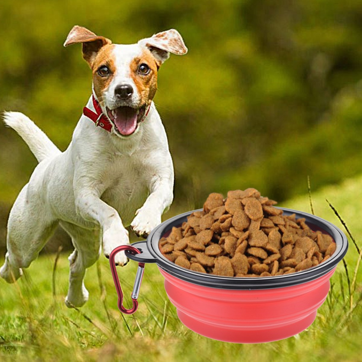 miorashop® Katlanabilir Kedi Köpek Mama ve Su Kabı Köpek Oyuncağı