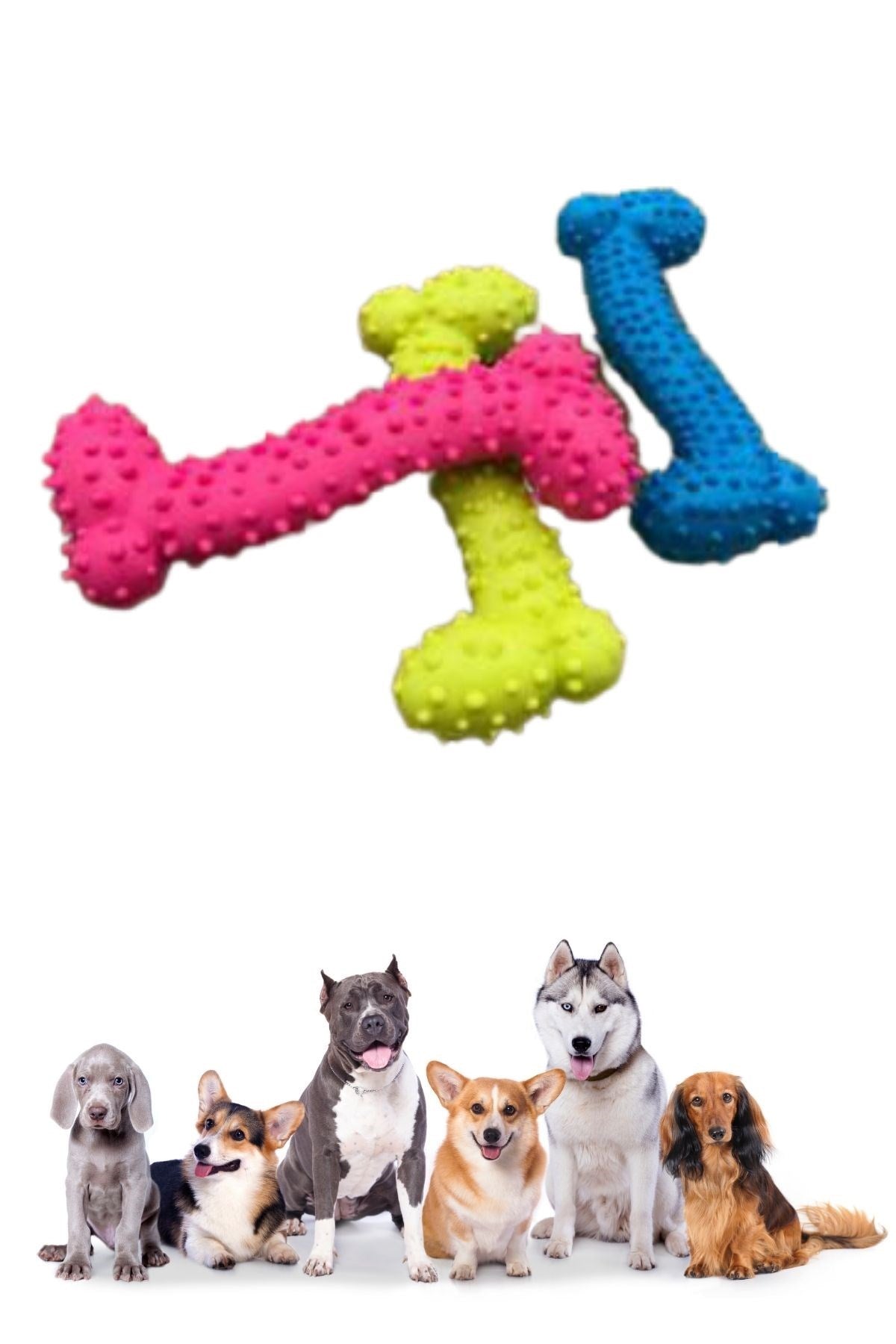 miorashop® Tiny Kemik Oyuncağı Tırtıklı Yüzey Küçük Kemik Plastik Köpek Oyuncağı