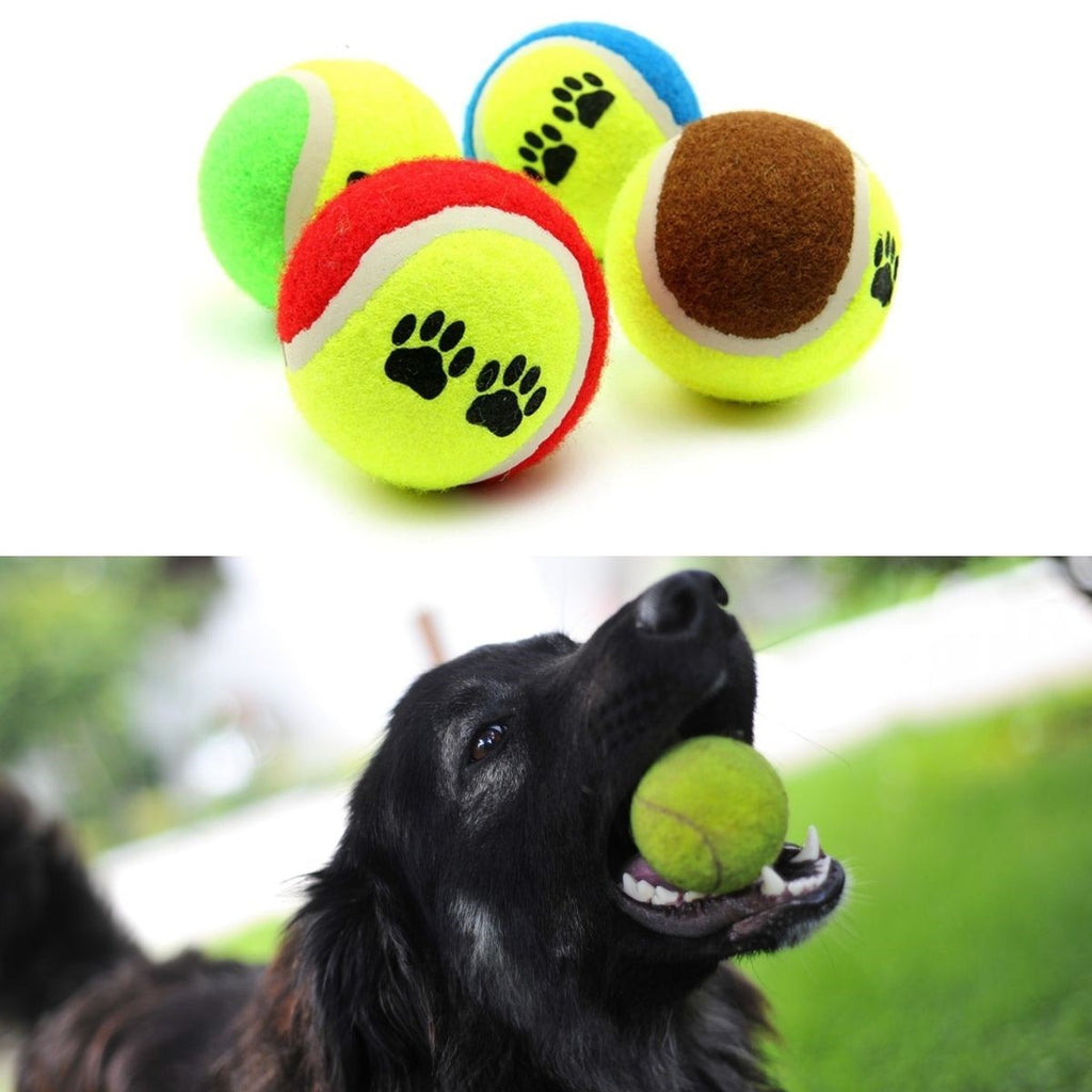 miorashop®  3lü Renkli Desenli Tenis Topu Kedi Köpek Oyuncağı