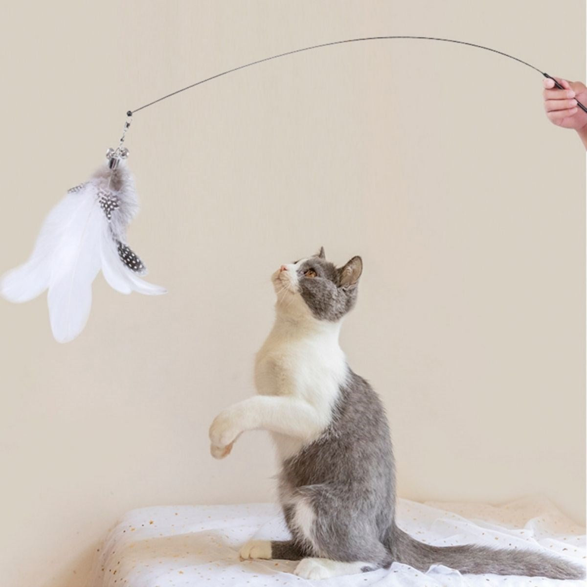 miorashop® Vantuzlu Tüylü Zilli Olta Kedi Oyuncağı 2 Oltalı