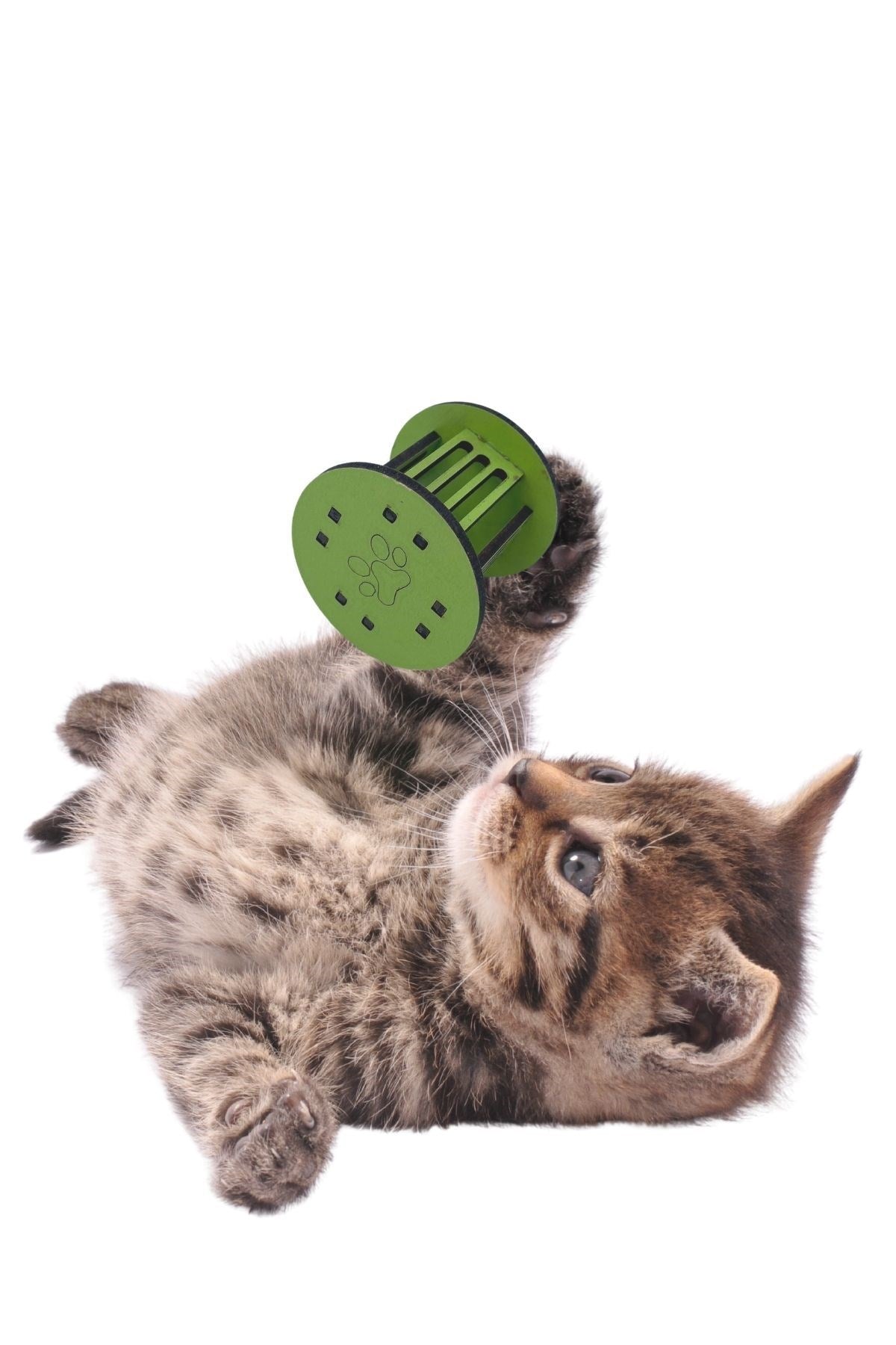 miorashop®  Mini Silindir Eğlenceli Renkli Sağlam Küçük Pati İzi Şekilli Kedi Oyuncağı