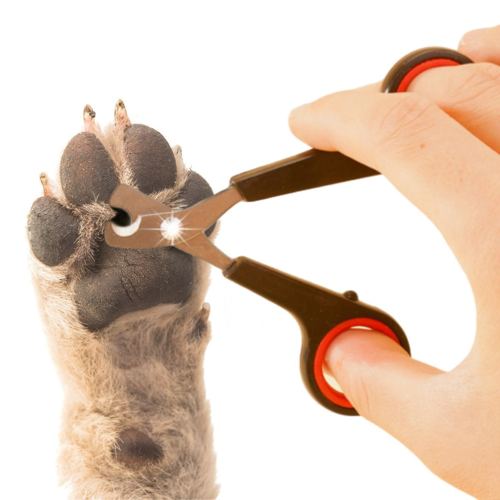 miorashop® Evcil Hayvan Tırnak Makası Ve Törpü Seti Manikür Pedikür Pati Bakım Aleti Kaymaz Sap