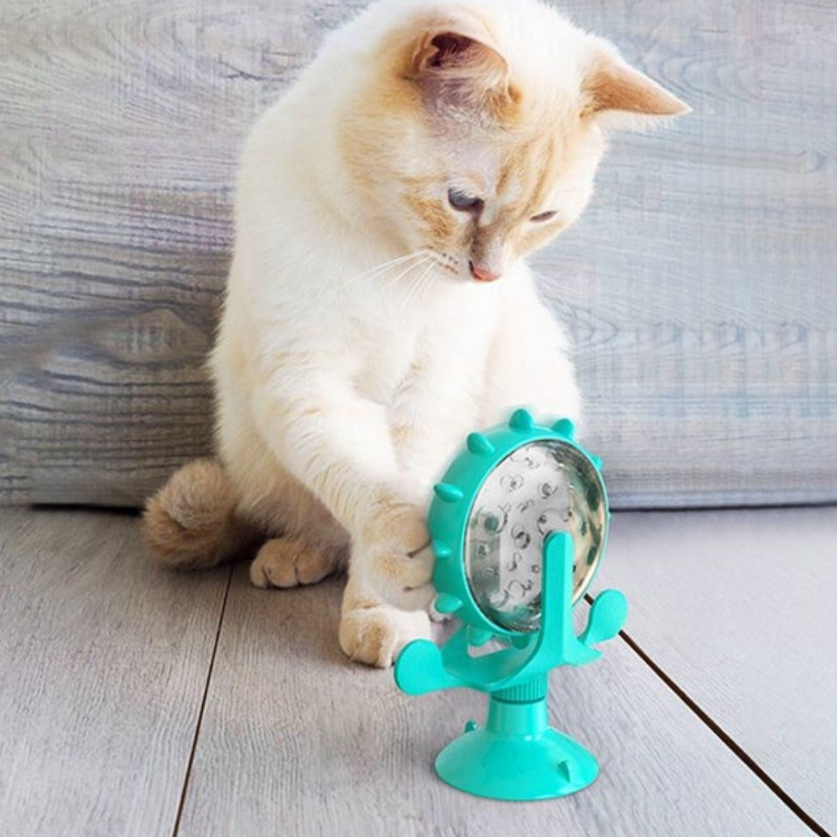 miorashop® Vantuzlu Zilli İnteraktif Dönebilen Mama Kaplı Renkli Eğlenceli Eğitici Kedi Oyuncağı